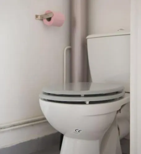 Διαμέρισμα 2 Chambre, Climatisation, A 50m Palavas-les-Flots